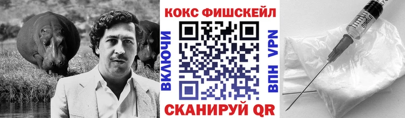 где можно купить наркотик  Ирбит  Кокаин 97% 
