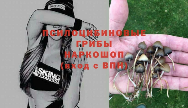 COCAINE Абаза