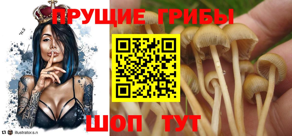 Псилоцибиновые грибы мухоморы Ирбит