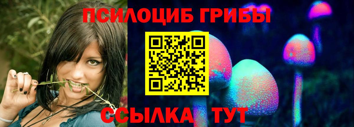 Ирбит  Галлюциногенные грибы MAGIC MUSHROOMS  Вход с VPN 